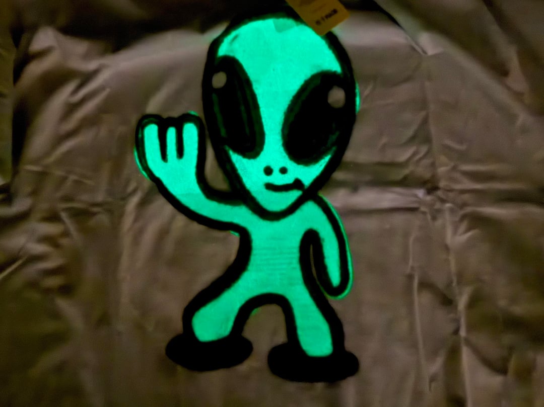 Bargain haul with Jordan 13 sneakers, alien graphic T-shirt, blue shorts and waist bags — photo 12